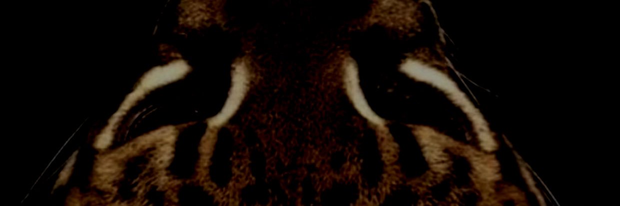 NN_O789's profile banner image