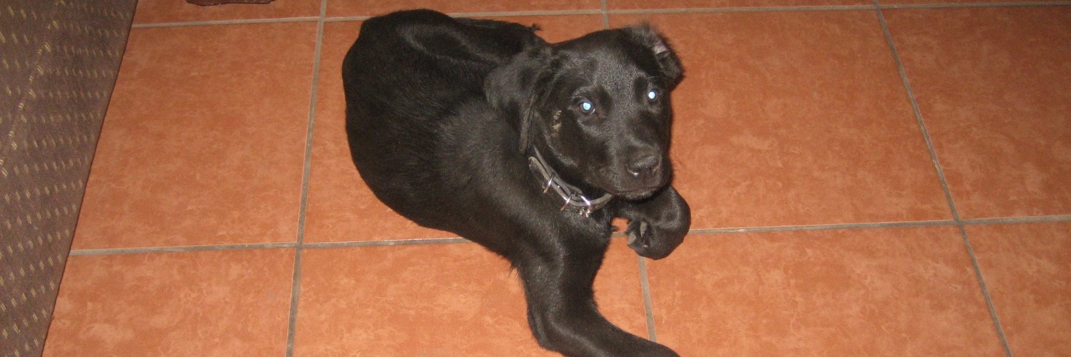 Gerardo™ 🇨🇱 banner