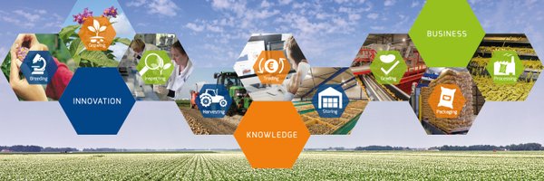 WorldPotatoCity Profile Banner