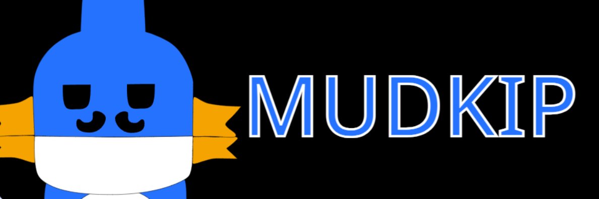 BasementMudkip's profile banner image