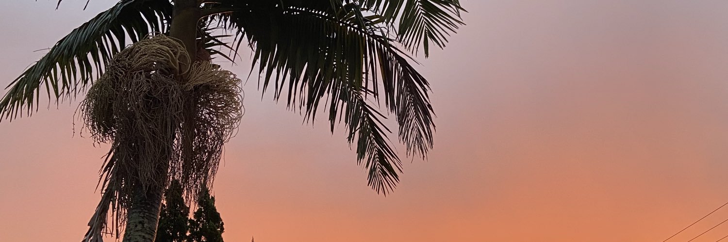 esterpravcss's profile banner image