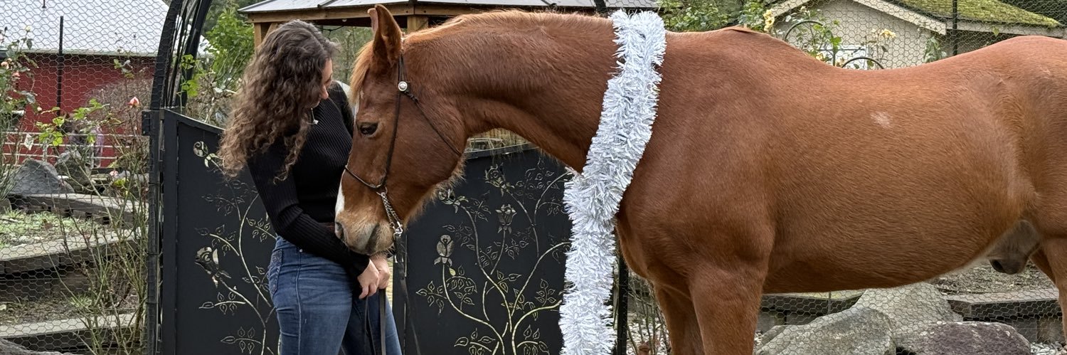 Delaina Stenchever banner