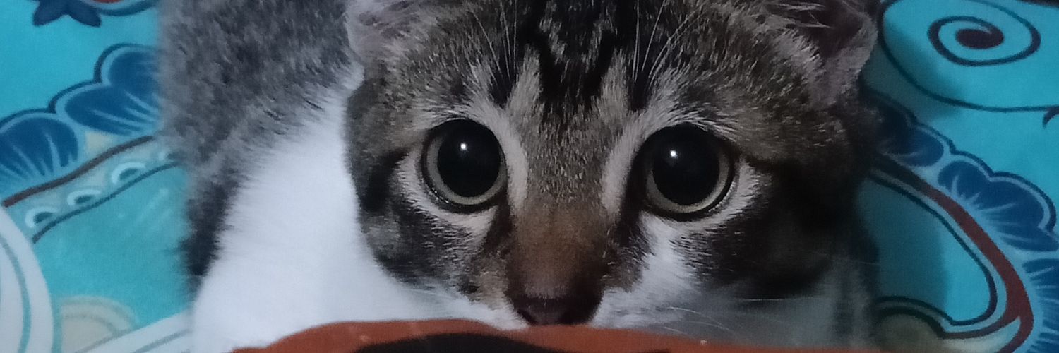 mayangdebby's profile banner image