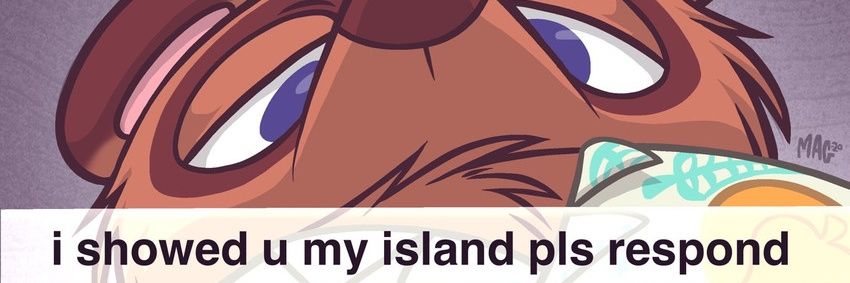 SFoxsky's profile banner image