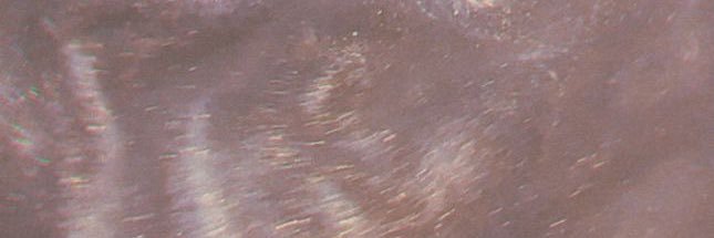 ¹⁹ m a i 🦢 banner