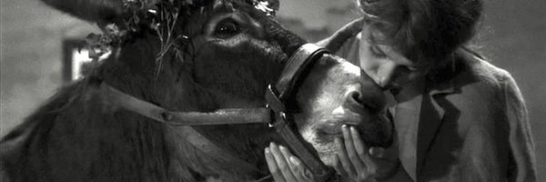 MaryamMuliaee Profile Banner