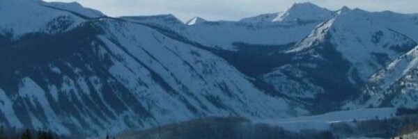 NVSHRMYP Profile Banner