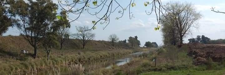 pelisroja's profile banner image