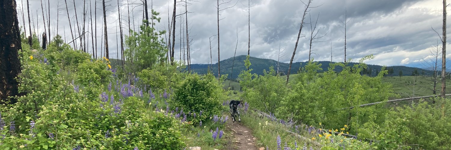 Katheryn Houghton banner