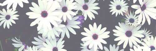 SofidelaF's profile banner image