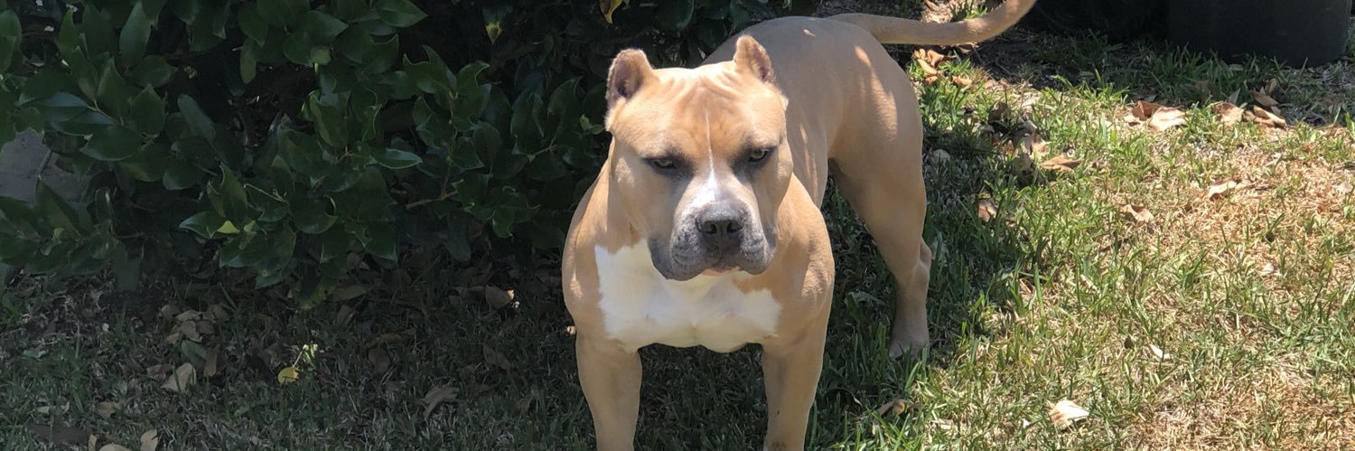 _Maddstaxx's profile banner image
