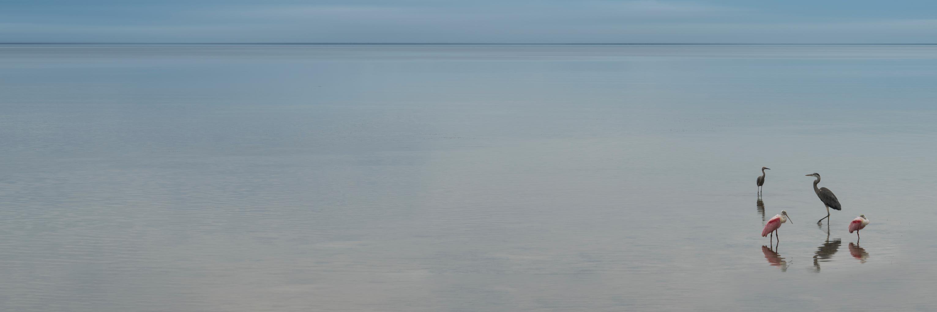 JustEnoughFocus's profile banner image