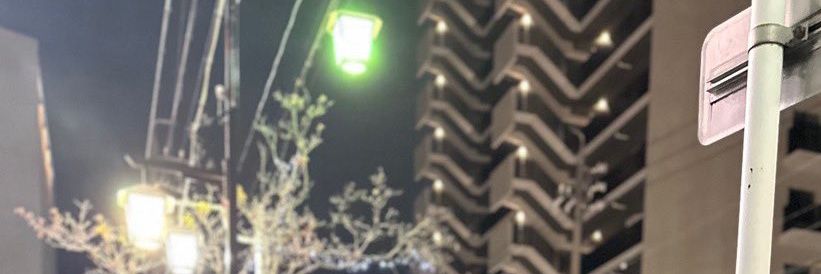 bil🦁🦁 banner