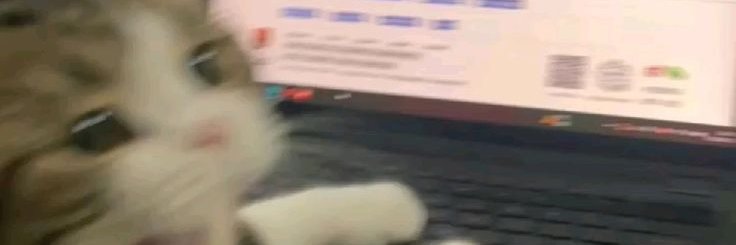 Fakhruddin | JOKI ML banner