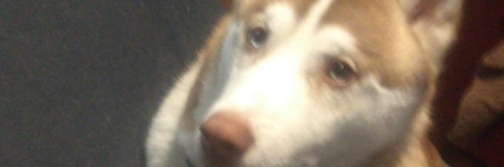 desmontabl3's profile banner image