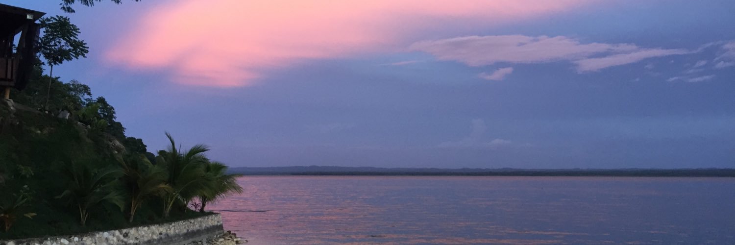 VerodeTanchez's profile banner image