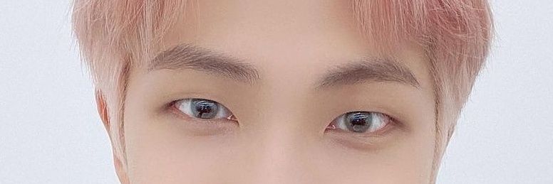 RM47275563's profile banner image