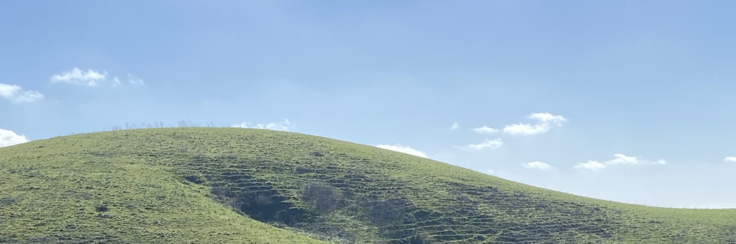 Wall-Eve banner
