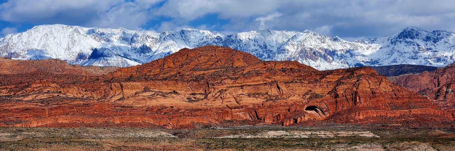 camsterdam 🇺🇲 banner