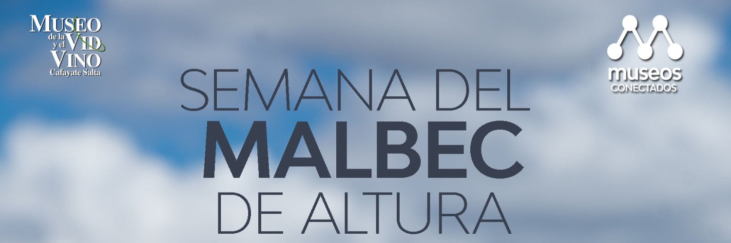 museodelavid's profile banner image