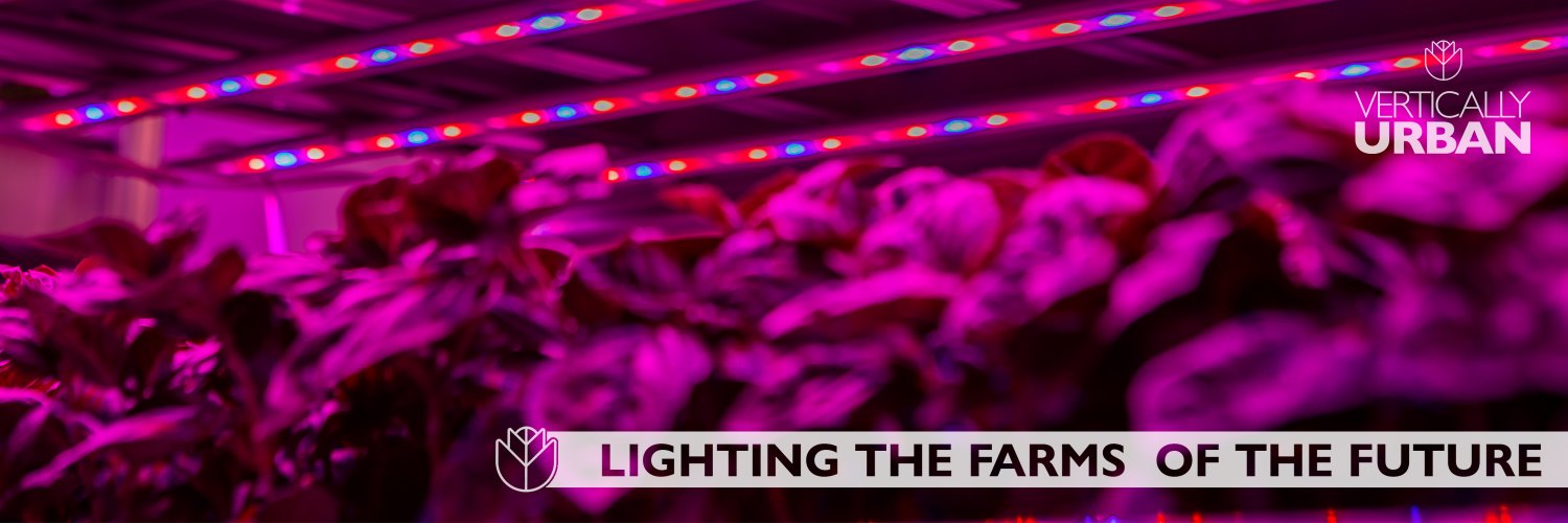 Vertically Urban banner