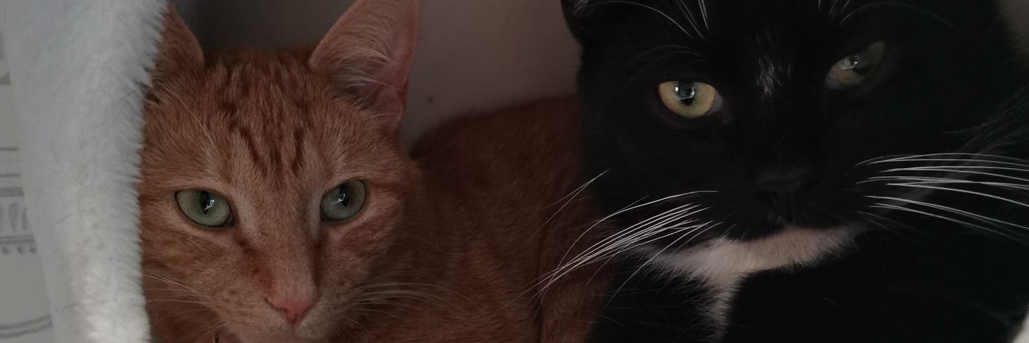 AimzOM4ever's profile banner image