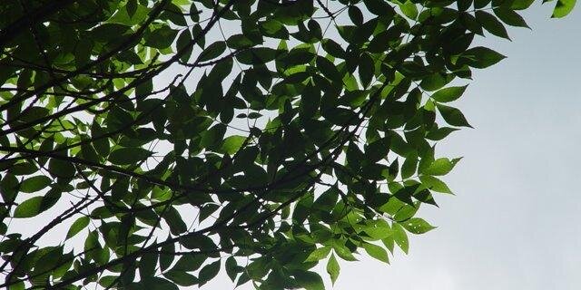 BJDast's profile banner image