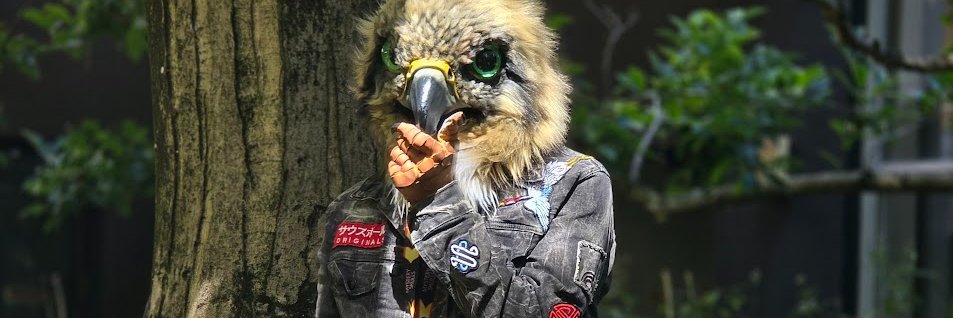 DumbBun (18+) banner