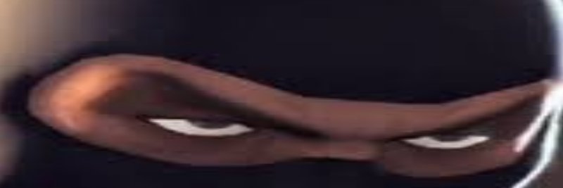 spy banner