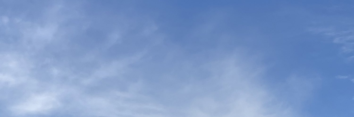🎀 banner
