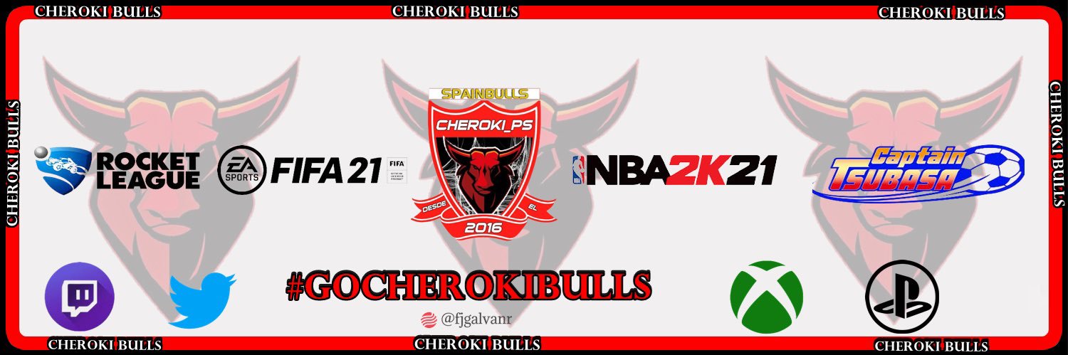 CHEROKIBULLS2K banner