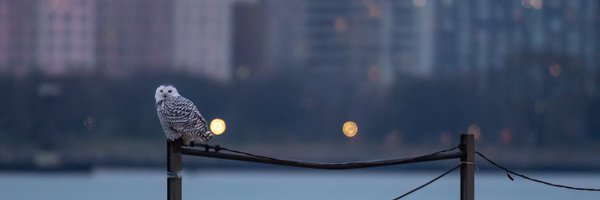 Suntimes Profile Banner