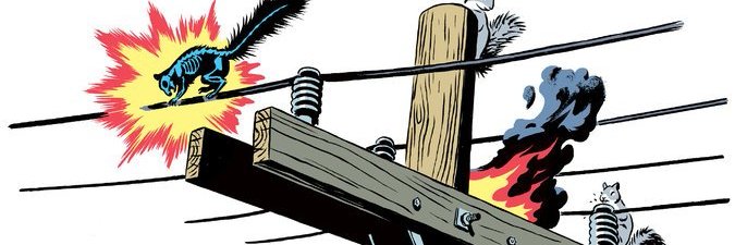 CyberSquirrel banner