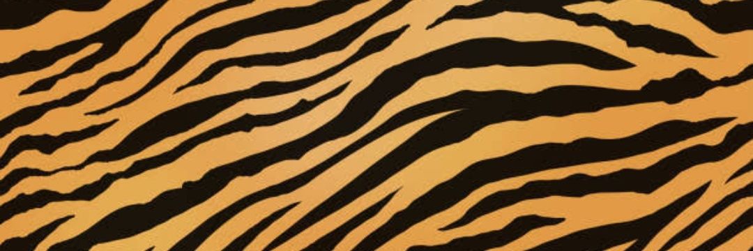 ✿⁠sazie banner