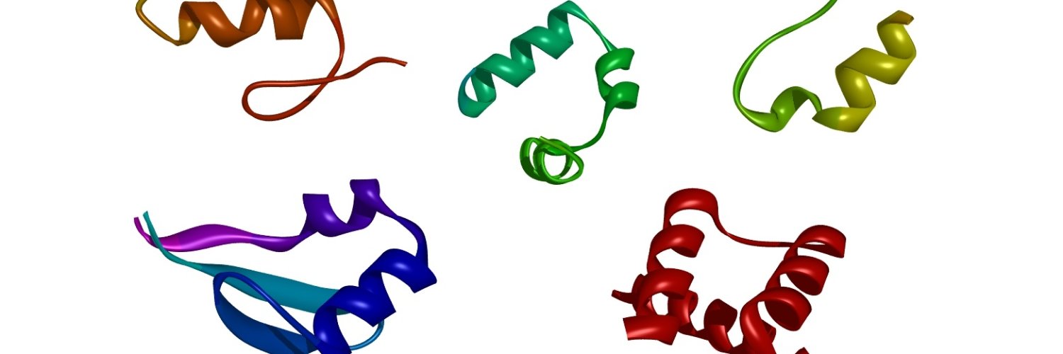BerlickiLab banner