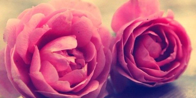 Miichans0916's profile banner image