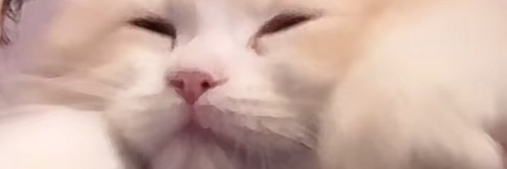 Moon_xx_7's profile banner image