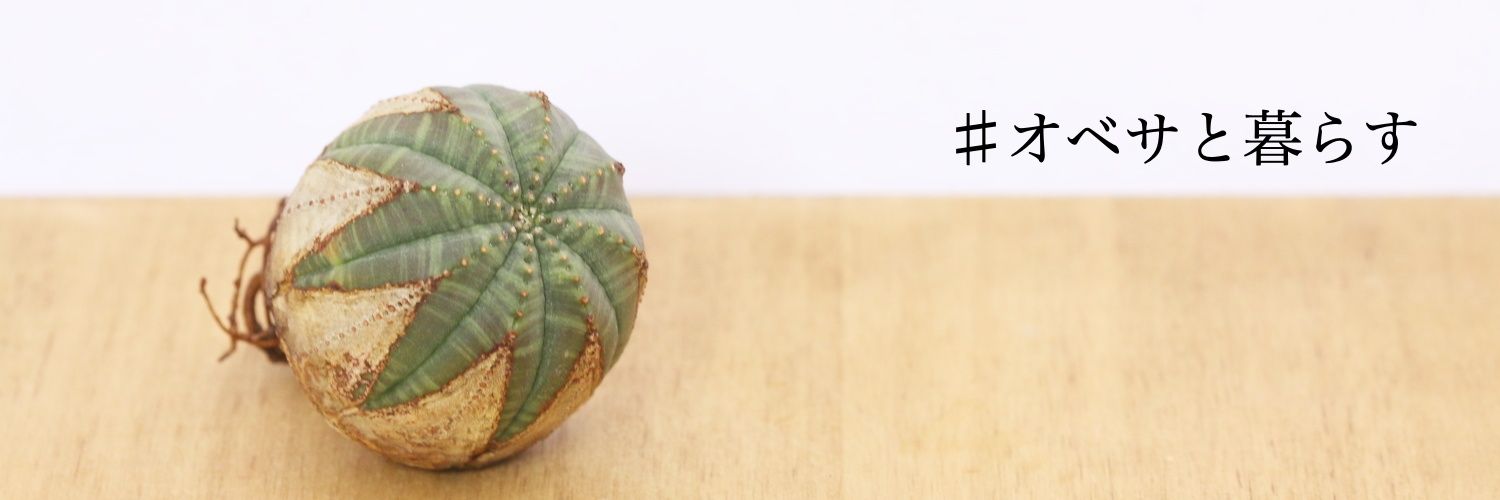 オベサ専門店～Libaran.Plants～ banner