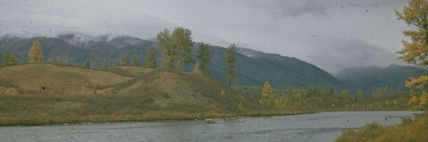 DPeaucelle Profile Banner