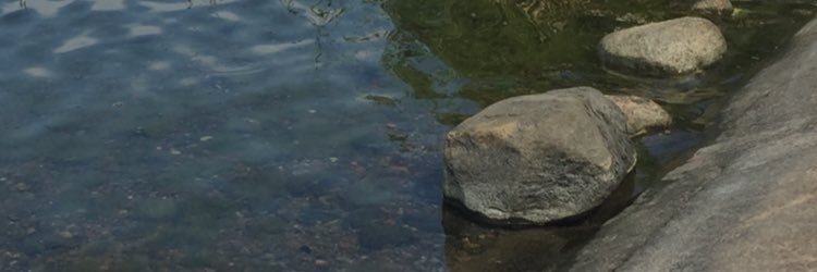 SaloHarri's profile banner image