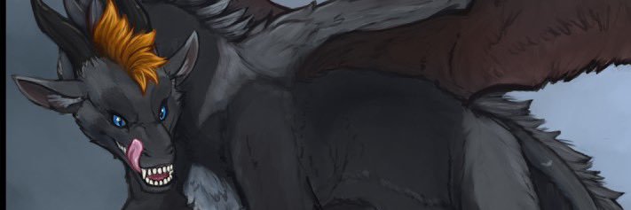 VellusP's profile banner image