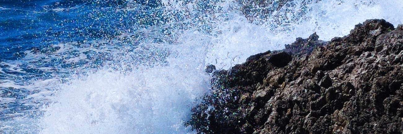 fannyprch's profile banner image