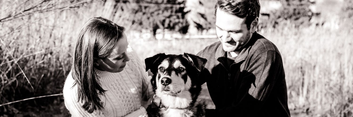 Meag_DeS's profile banner image