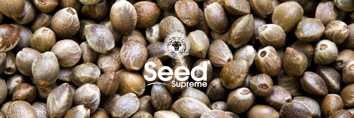 SeedSupreme Seedbank banner