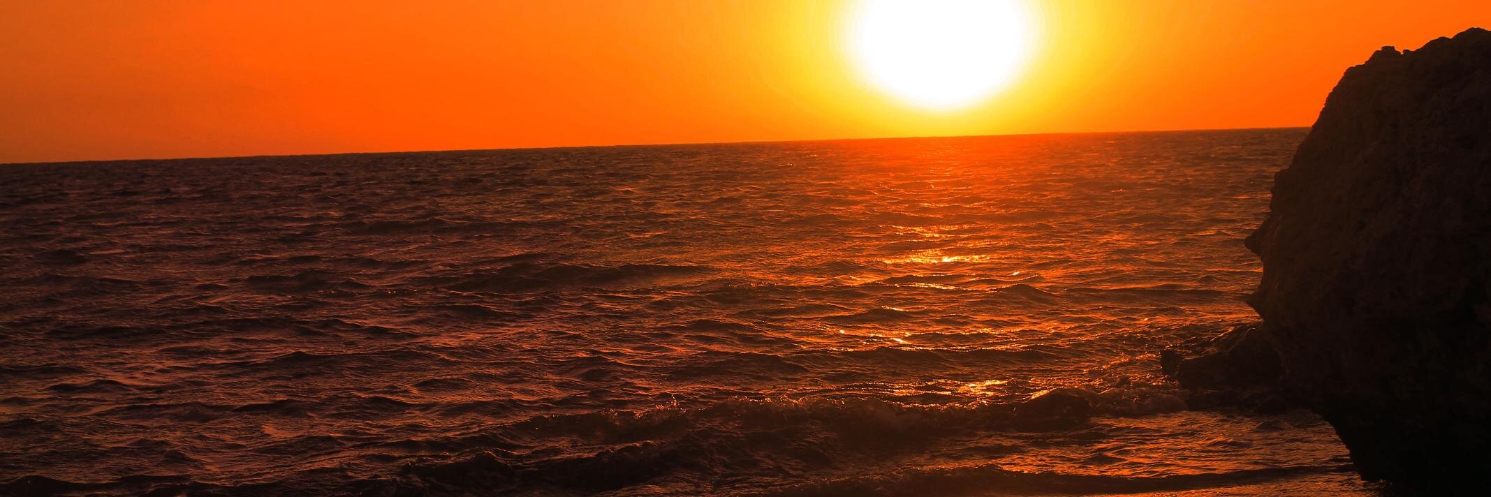 D_A___11's profile banner image