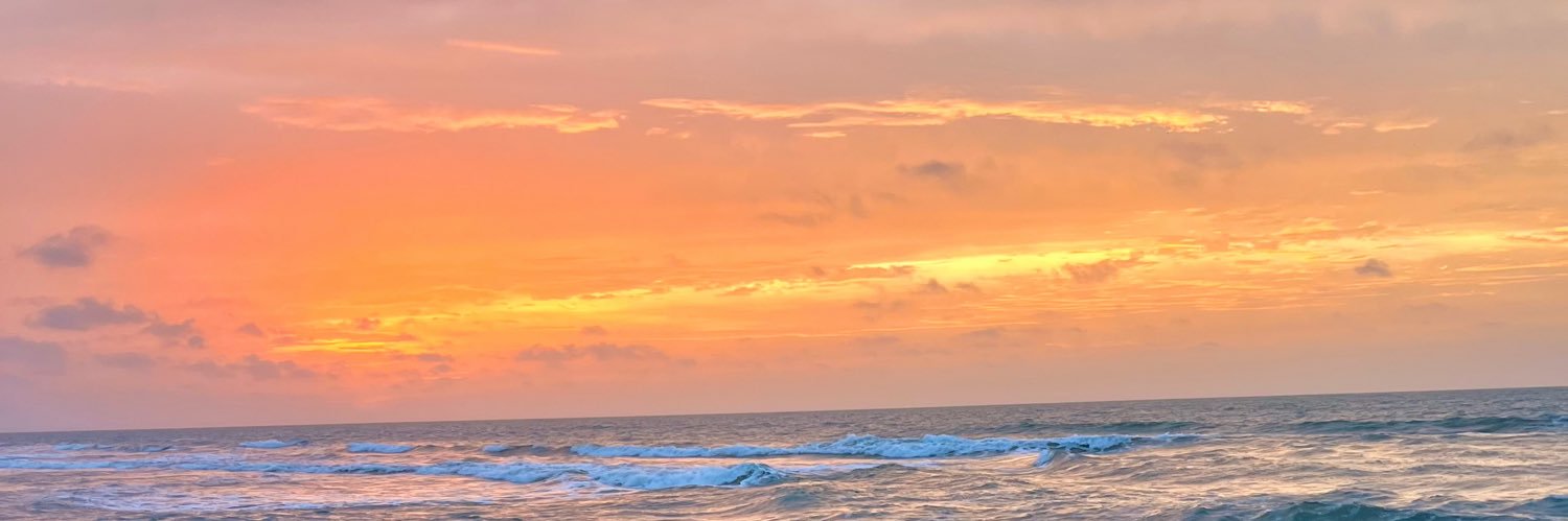 sandrithpal's profile banner image