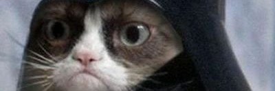 LucaCeretti1's profile banner image