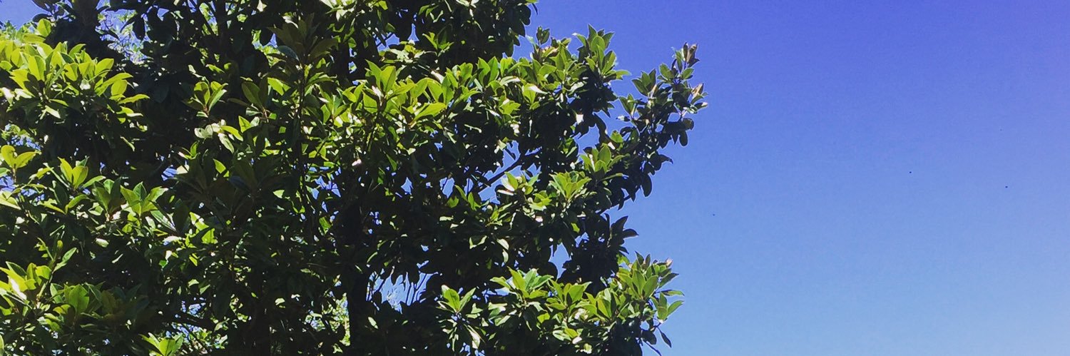 clarachuffo's profile banner image
