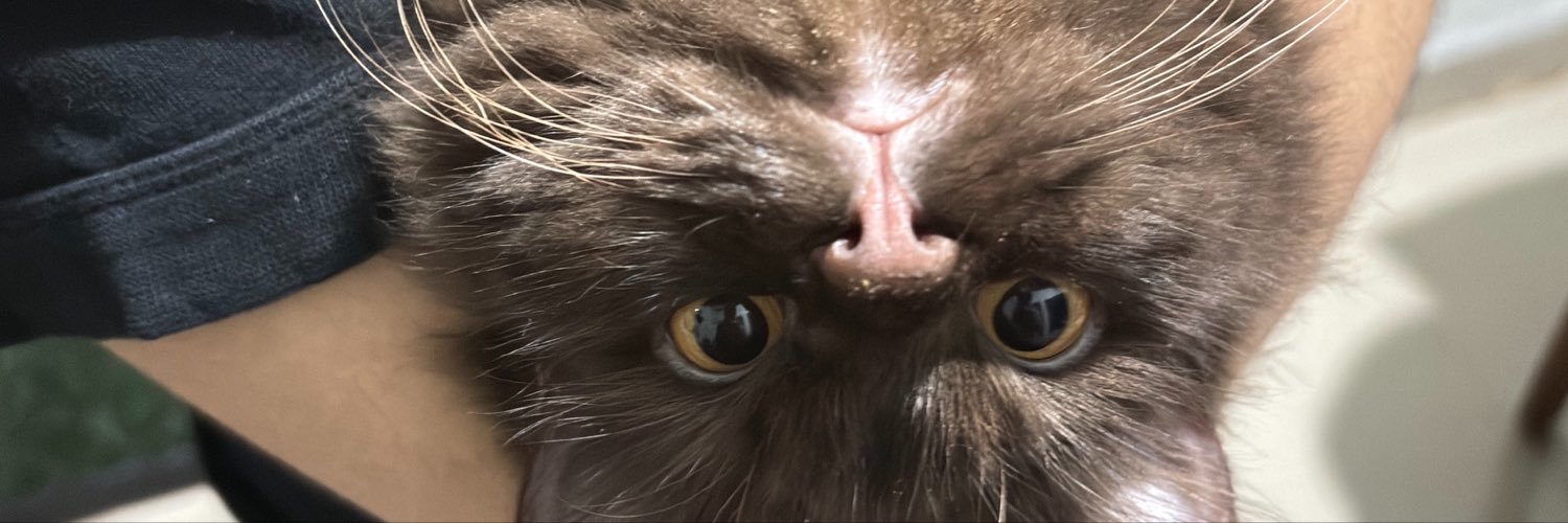 amrepss's profile banner image