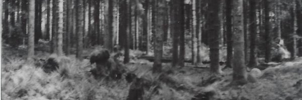 hellocubcub Profile Banner